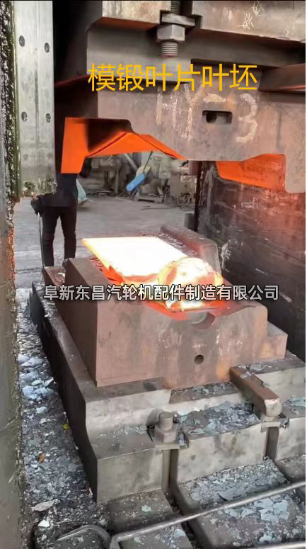 模鍛葉片葉坯 模鍛葉片葉坯